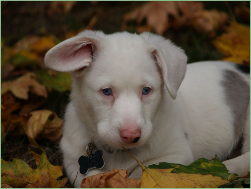 Casper